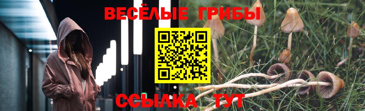 Галлюциногенные грибы MAGIC MUSHROOMS  цена наркотик  Вход с VPN  Жигулёвск  Псилоцибиновые грибы Psilocybine cubensis 